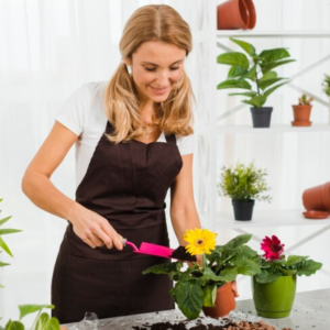 Kitchen Gardening