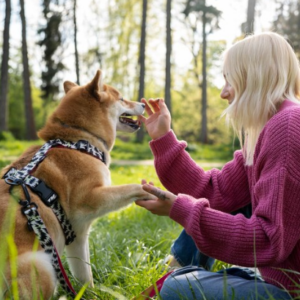 Canine Communication